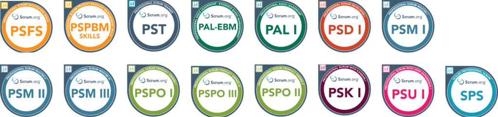 certificaciones-joel francia